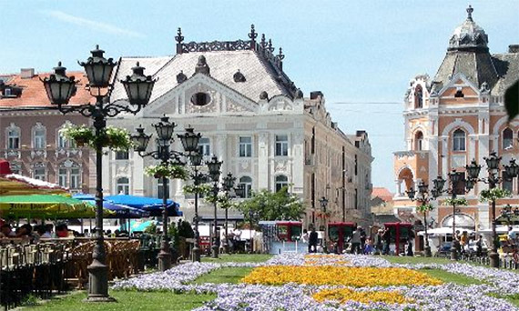 Selidbe Novi Sad trg