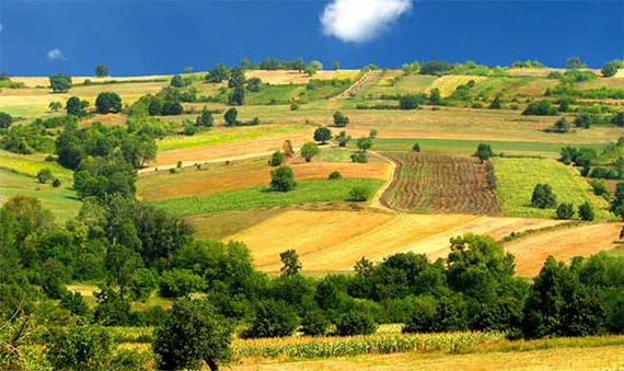 Selidbe Srbija